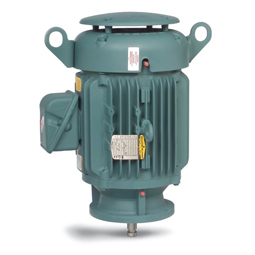 VERTICAL SOLID SHAFT PUMP